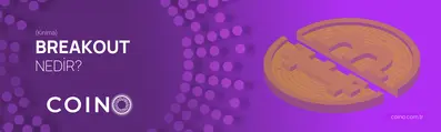Breakout (Kırılma) Nedir?
